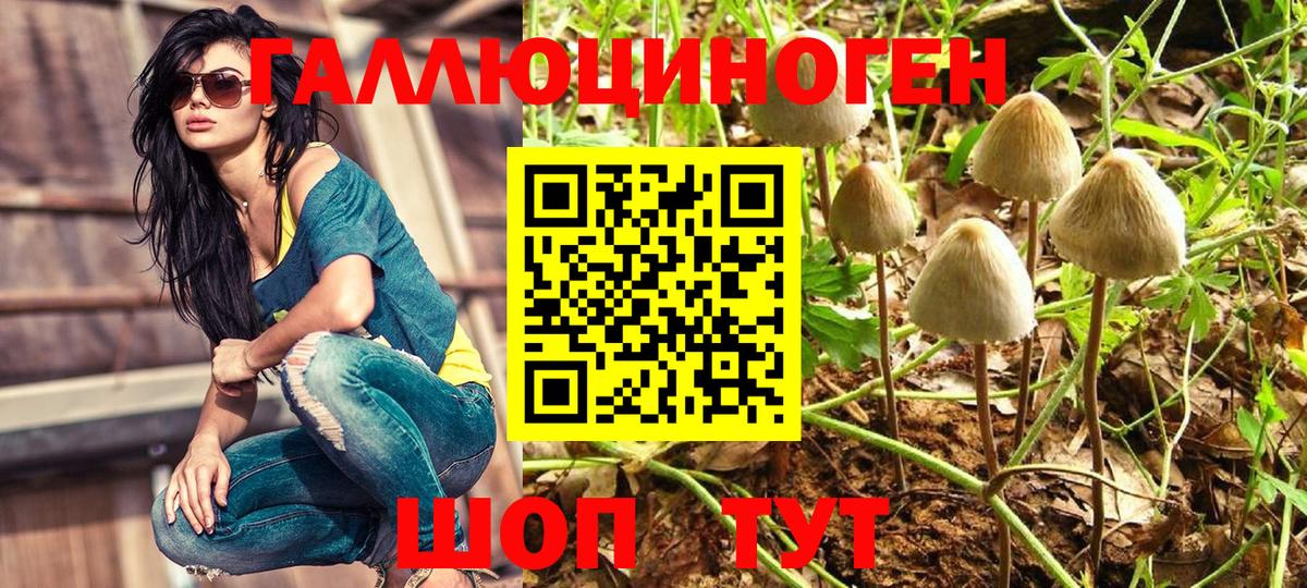 Псилоцибиновые грибы ЛСД Ливны