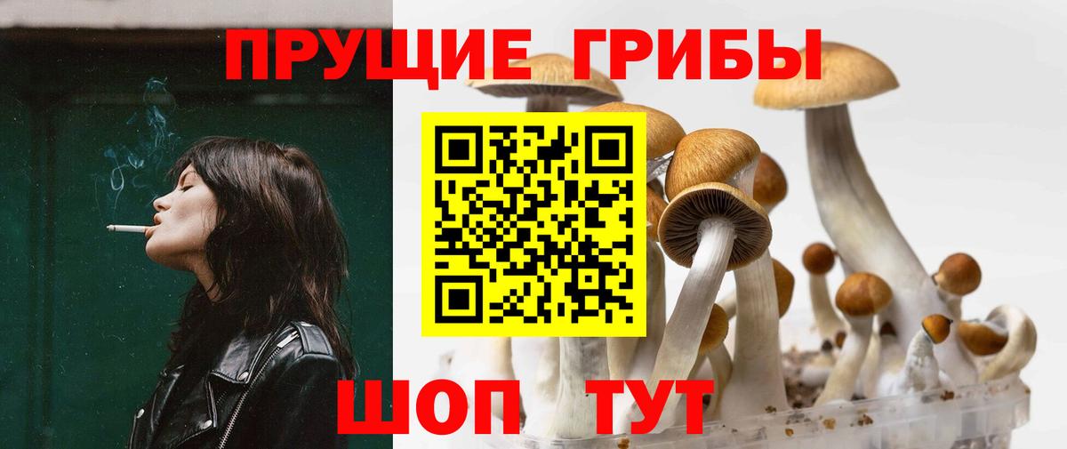 Ливны  Псилоцибиновые грибы Psilocybe  Вход с VPN  Галлюциногенные грибы Cubensis 